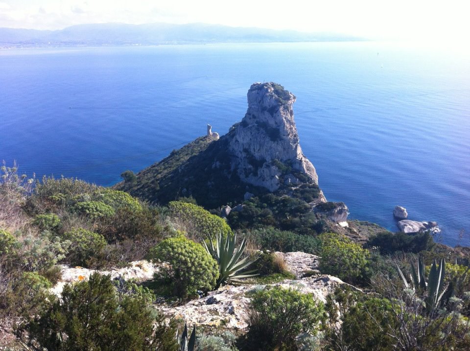 Sindacato Autonomo Forestale